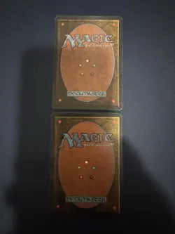 MTG - Magic The Gathering - Northern Paladin X 2 - Revised - NP/NM! - Image 2