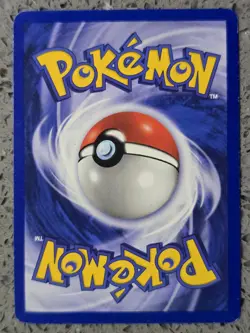 Pokemon - Totodile - 81/111 - Neo Genesis - Common - LP - Image 2