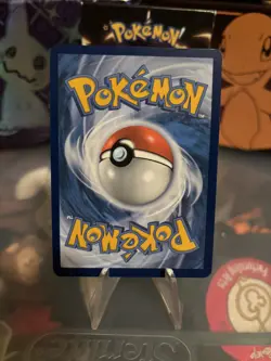 Pokemon TCG Poochyena Crown Zenith: Galarian Gallery GG33/GG70 Holo Holo Rare - Image 2