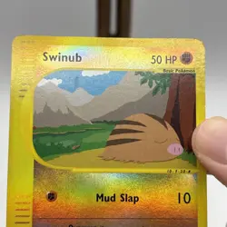 Swinub 108/144 Skyridge 2003 Reverse Holo Pokemon Card TCG - Image 4