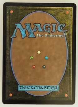 Magic the Gathering: Valley Mightcaller (Showcase) Bloomburrow Regular NM - Image 2
