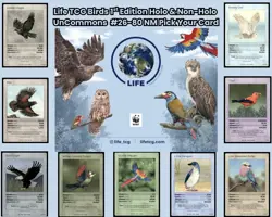 Life TCG Birds 1st Edition Holo And Non-Holo UnCommons #26-130 NM Pick Your Card - Image 1