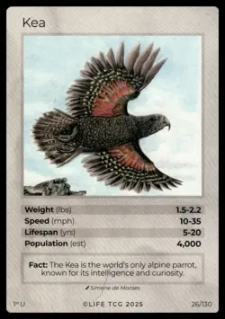 Life TCG Birds 1st Edition Holo And Non-Holo UnCommons #26-130 NM Pick Your Card - Image 2