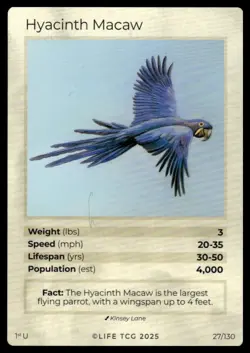 Life TCG Birds 1st Edition Holo And Non-Holo UnCommons #26-130 NM Pick Your Card - Image 3