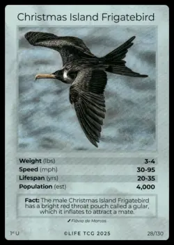 Life TCG Birds 1st Edition Holo And Non-Holo UnCommons #26-130 NM Pick Your Card - Image 4