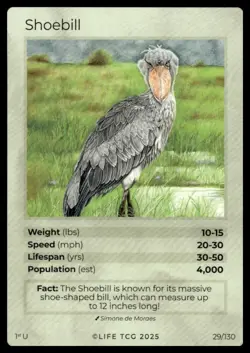 Life TCG Birds 1st Edition Holo And Non-Holo UnCommons #26-130 NM Pick Your Card - Image 5