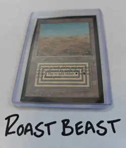 Magic The Gathering - Collectors' Edition - Scrubland Domestic Edition 1993 LP - Image 1