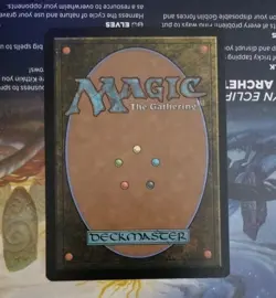 Magic the Gathering-Lorwyn Eclipsed/Deceit (Borderless) 293 REGULAR - Image 2