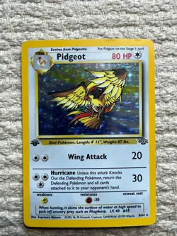 Pokemon TCG 1st Edition Pidgeot Jungle 8/64 Holo Rare - Image 2