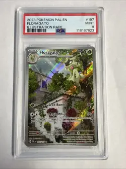 🌿 Floragato Illustration Rare PSA 9 | PAL EN 197/193 | 2023 Pokemon - Image 1