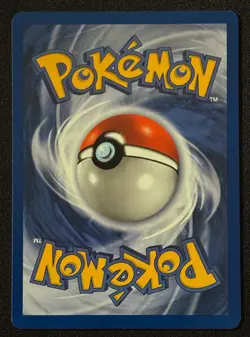 Unlimited Pidgeot - Jungle - Holo - #8/64 - Vintage Pokemon Card 1999 WOTC - Image 3