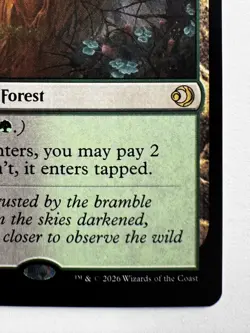 Overgrown Tomb 263 – Lorwyn Eclipsed Rare BG Shock Dual Land Swamp Forest MTG - Image 4