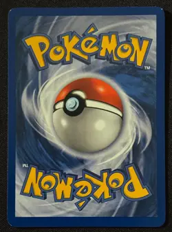 Unlimited Wigglytuff - Jungle - Holo - #16/64 - Vintage Pokemon Card 1999 WOTC - Image 3