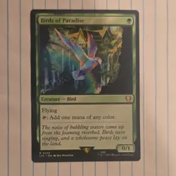Birds of Paradise LTC 2023 Regular Green Rare Creature Wizards English - Image 1