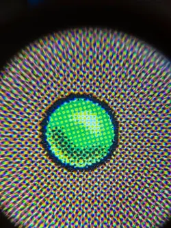 Magic The Gathering Urza's Destiny Masticore #134/143 MTG TCG CCG - Image 3