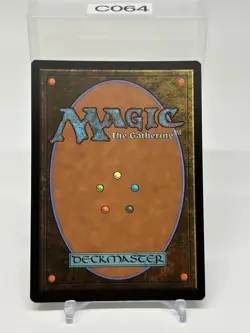 Plains Foil (263) Dominaria United DMU MTG Magic NM - Image 2
