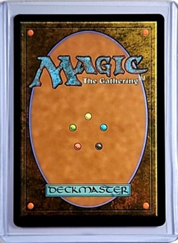 2024 MTG Magic the Gathering SLD Secret Lair Drop Fallout Foil #795 Wastes - Image 2