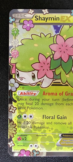 Shaymin EX XY148 Generations Holo Black Star Promo Card Pokemon TCG MINT Cutie - Image 5