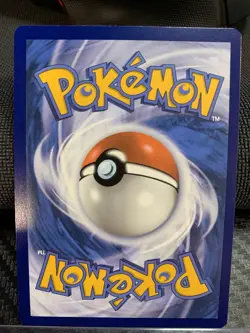 Pokemon Quaxly Illustration Rare Holo Card Sv02: Paldea Evolved 206/193 - Image 4