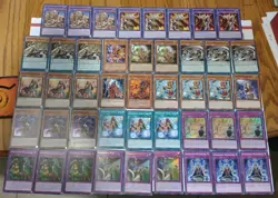 YuGiOh Cards Amazoness Empress Deck Core Pet Liger King Princess Augusta Sage + - Image 1