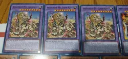 YuGiOh Cards Amazoness Empress Deck Core Pet Liger King Princess Augusta Sage + - Image 2