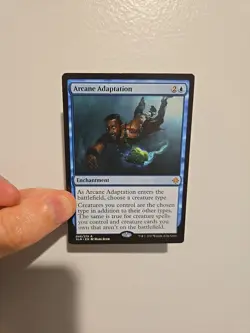 1x Arcane Adaptation - Ixalan - LP - ENGLISH - MTG Magic EDH Commander Rare - Image 1
