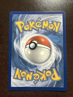 Morpeko SWSH031 LP Pokemon TCG Sword & Shield Black Star Promo - Image 3