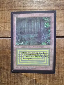 MTG - Bayou - Collectors Edition Crisp Corners NM+ - Image 1