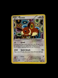 Pokemon Eevee TCG Black White BW94 Black Star Promo NM - Image 1