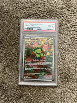 2025 Pokemon JTG EN Maractus Illustration Rare 160/159 PSA 10 ! - Image 1