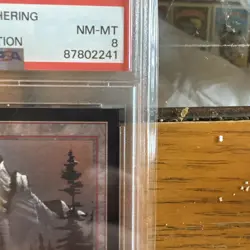 1993 Magic: the Gathering ✨MOUNTAIN✨ CE PSA 9 MtG WOTC - Image 3