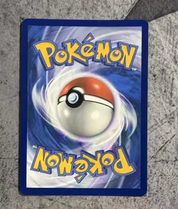 Pokemon TCG Bidoof Crown Zenith: Galarian Gallery Holo Rare Card GG29/GG70 - Image 2