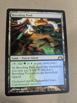 Breeding Pool - MTG - Gatecrash - NM - Image 1