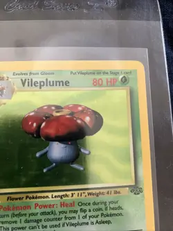🍄 Vileplume 31/64 Jungle HOLO - Pokemon TCG Single Card LP - Image 4