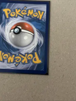 Mudkip XY38 - Black Star Promo - 2014 Hoenn Collection - Pokemon TCG - LP - Image 3
