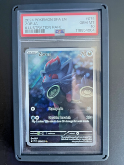 2024 Pokemon Zorua Illustraion Rare PSA 10 075/064 - Image 1