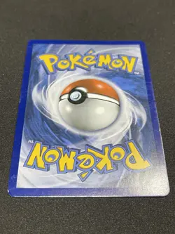 Pokemon Raikou GX SM121 SM Black Star Promo Full Art Holo Pokemon TCG HP/DMG - Image 5