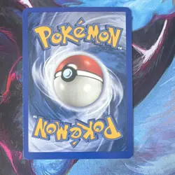 Pokemon Squirtle Expedition Base Set Card 131/165 2002 Common Basic - Image 2