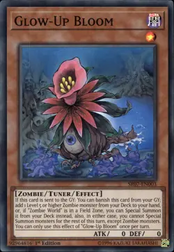 Glow-Up Bloom EU 1st Ed Super Rare SR07-EN003 Yu-Gi-Oh! - Image 1