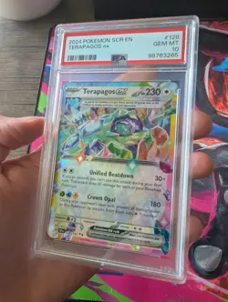 Pokemon Terapagos ex Double Rare Holo 128/142 Sv07: Stellar Crown PSA 10 2024 - Image 3