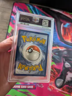 Pokemon Terapagos ex Double Rare Holo 128/142 Sv07: Stellar Crown PSA 10 2024 - Image 4