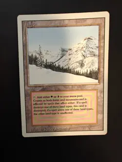 Magic the Gathering MTG card: Taiga Revised Edition - Image 1