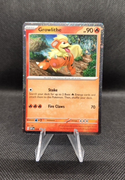 Pokemon TCG Growlithe SVP024 Cosmos Holo Promo ~Double Swirl ~ NM/M - Image 1