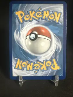 Pikachu V SWSH061 Holo Pokemon Black Star Promo - Image 5