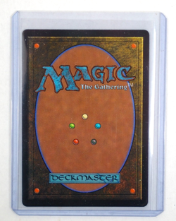 Starting Town Land - Town #289 New Foil Final Fantasy MTG - Image 2