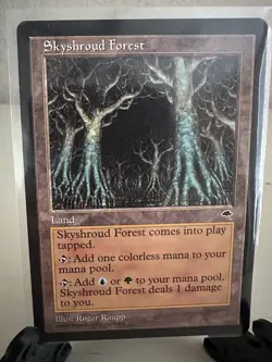 Skyshroud Forest Tempest Regular LP-NM - Image 1