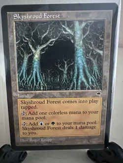 Skyshroud Forest Tempest Regular LP-NM - Image 3