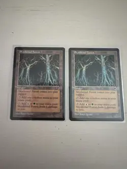 Skyshroud Forest Tempest Regular LP-NM - Image 5
