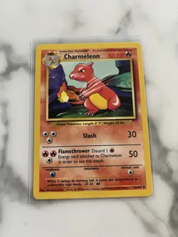 Charmeleon 24/102 Unlimited Uncommon Card(Pokemon TCG Base Set) - Image 2