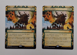2x Natural Order Strixhaven Mystical Archive NM (54/252) Magic The Gathering MTG - Image 1